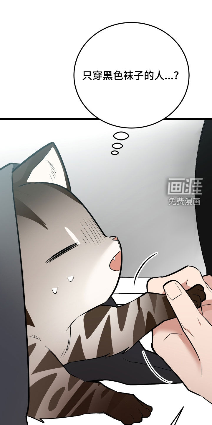 野猫的命定人类 第26话 第26页