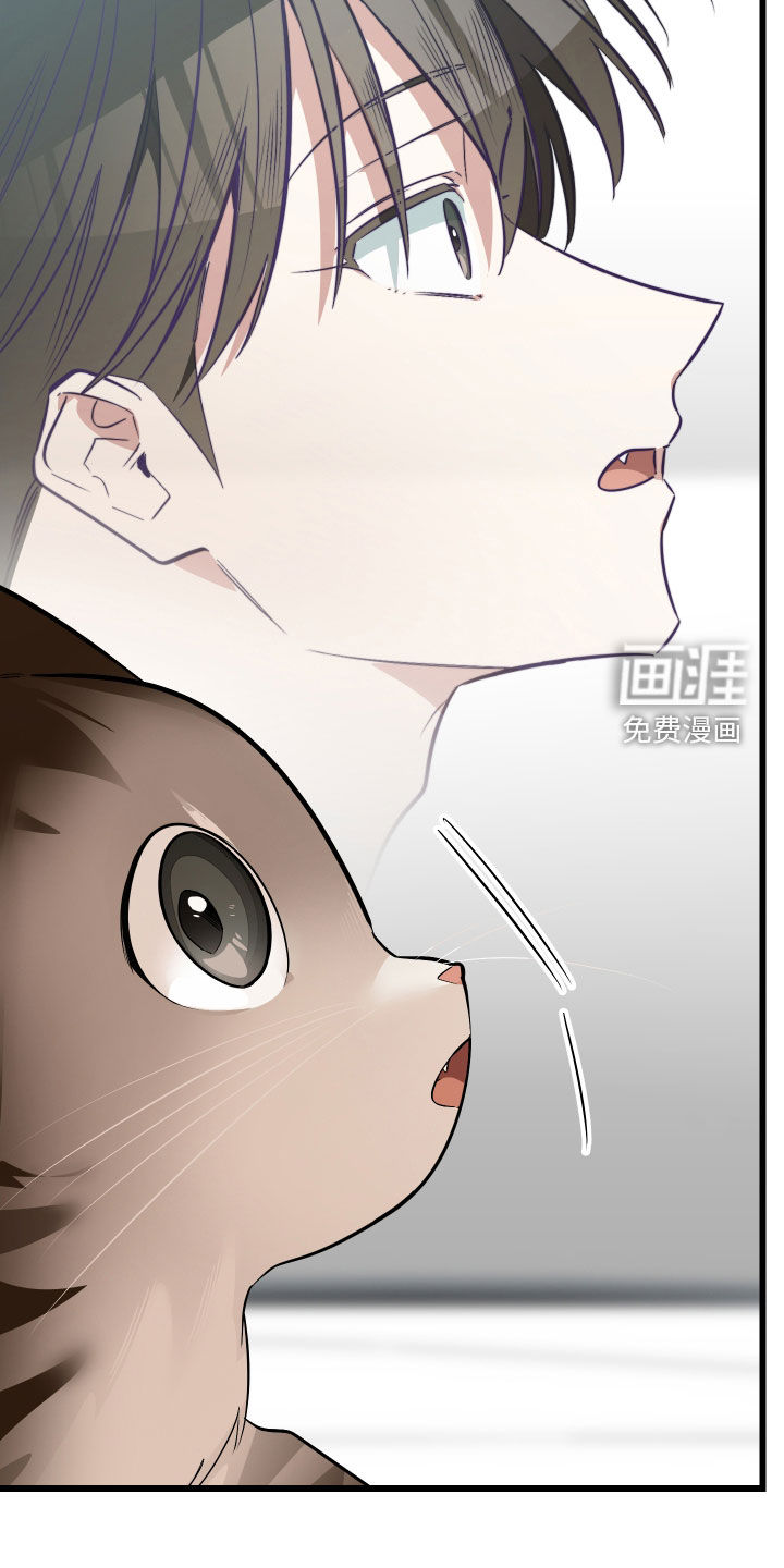 野猫的命定人类 第26话 第29页