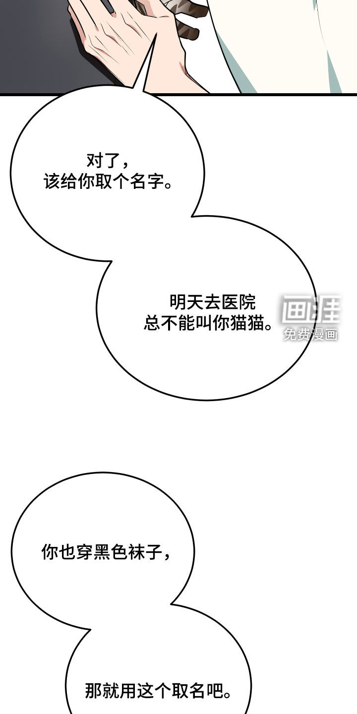 野猫的命定人类 第26话 第31页
