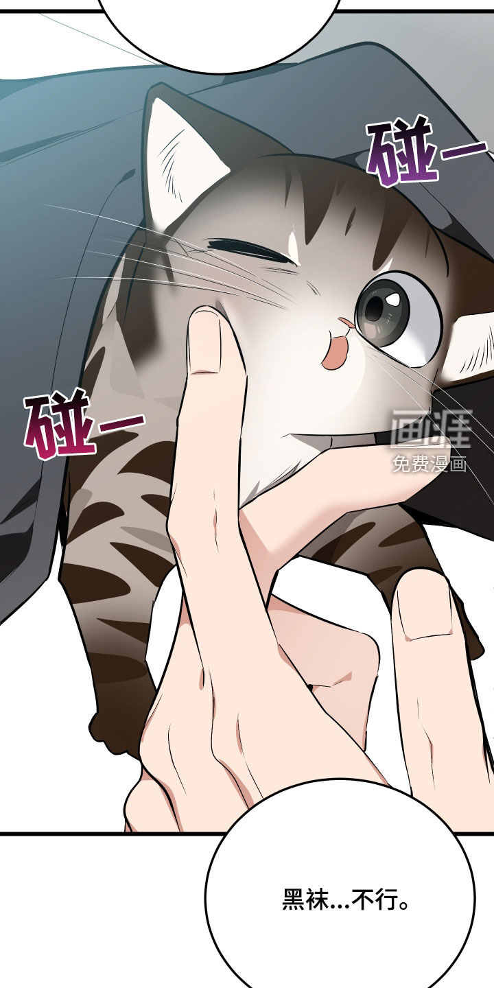 野猫的命定人类 第26话 第32页