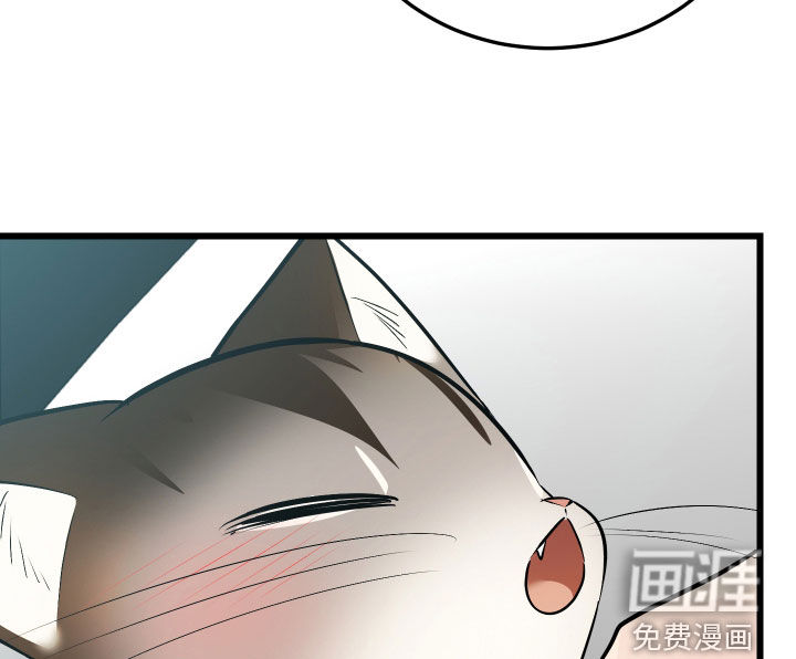 野猫的命定人类 第26话 第33页