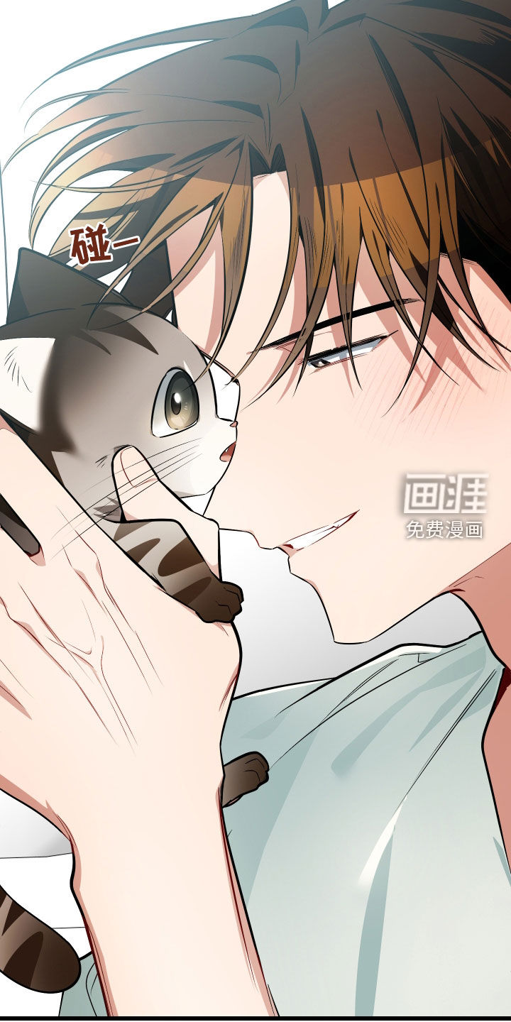 野猫的命定人类 第26话 第35页