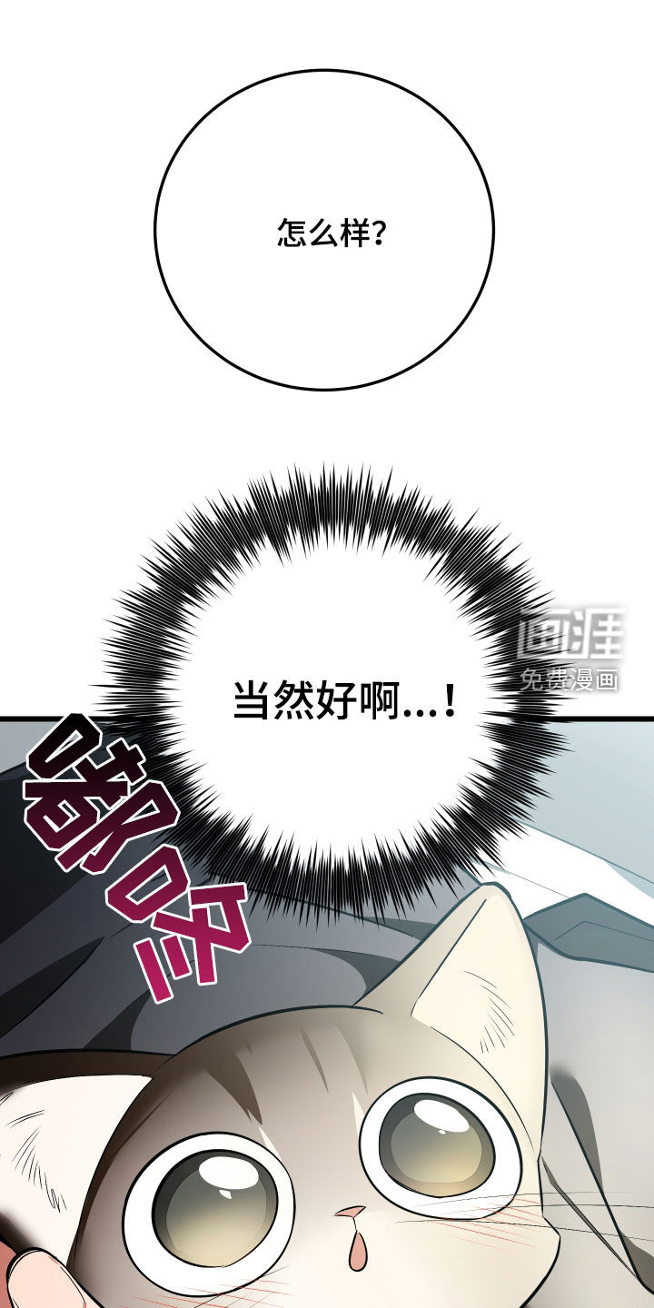 野猫的命定人类 第26话 第36页