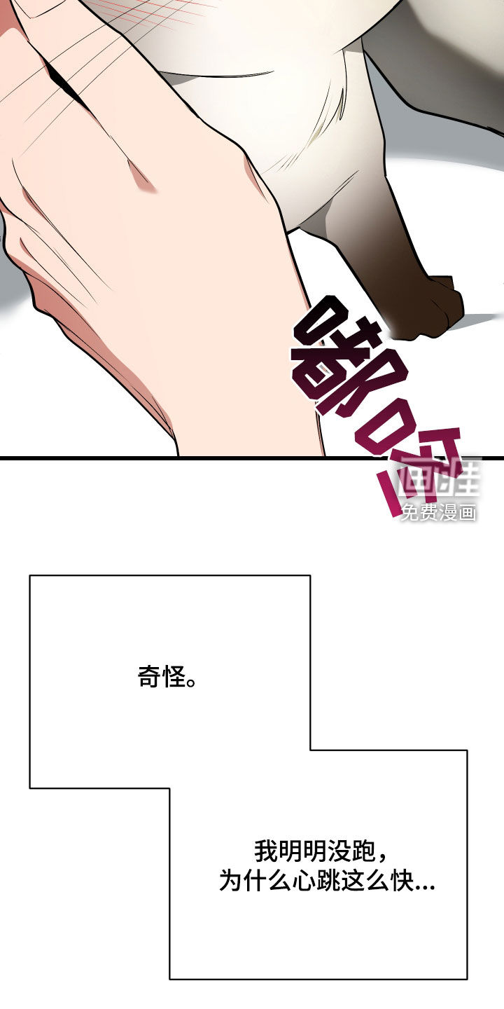 野猫的命定人类 第26话 第37页