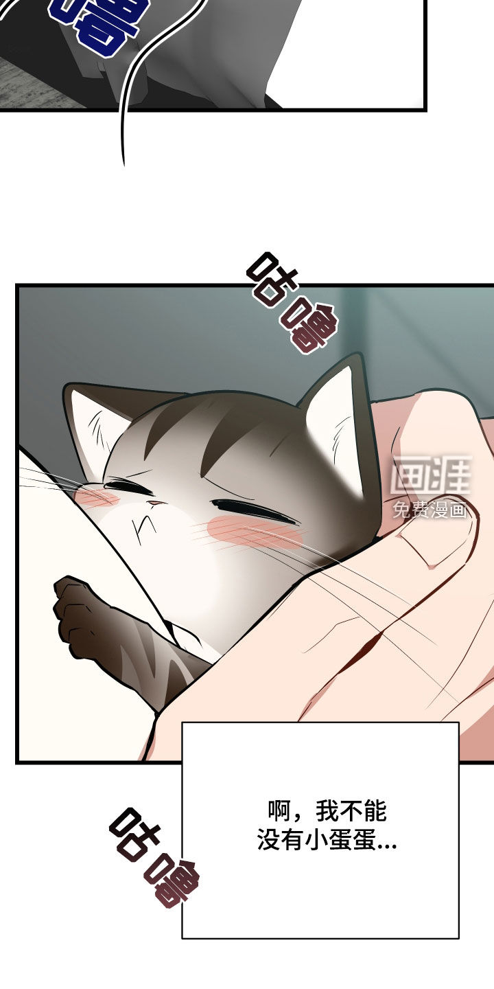 野猫的命定人类 第26话 第42页