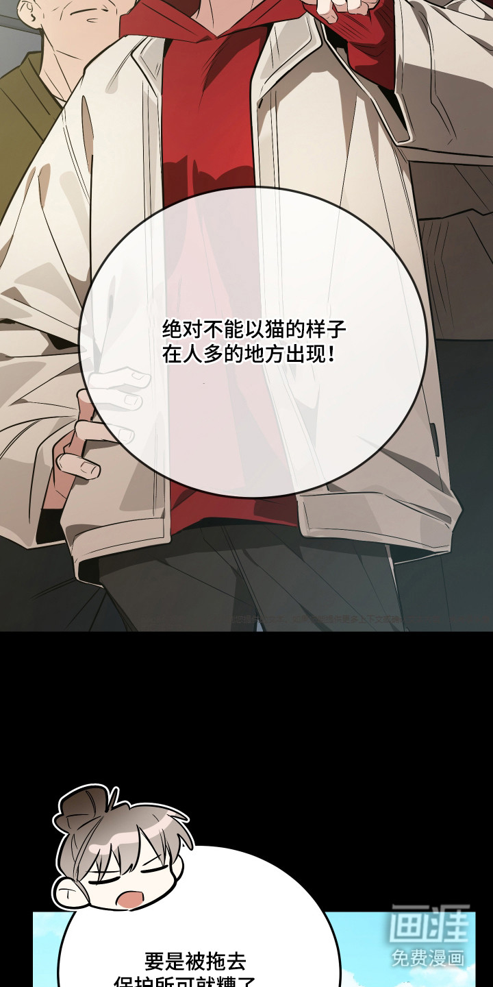 野猫的命定人类 第4话 第4页