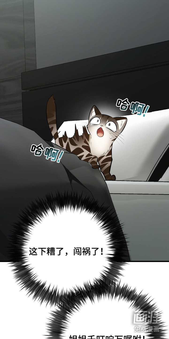 野猫的命定人类 第4话 第10页