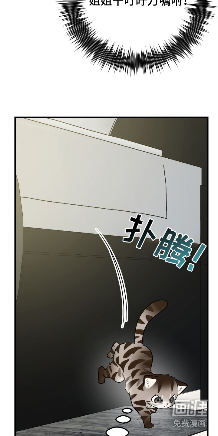 野猫的命定人类 第4话 第11页