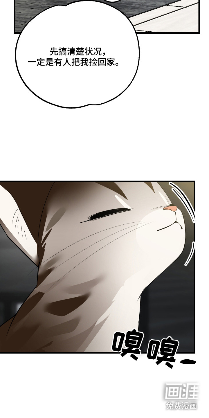 野猫的命定人类 第4话 第12页