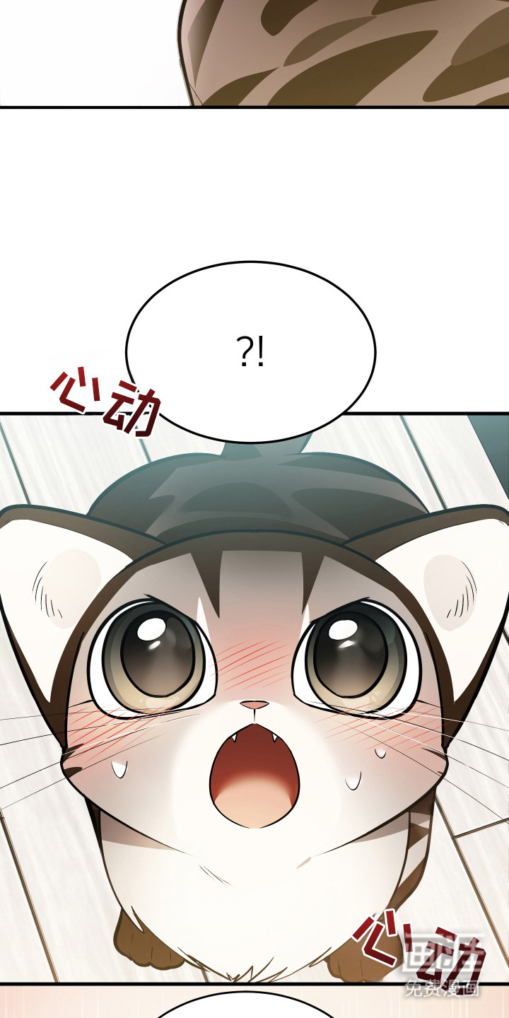 野猫的命定人类 第4话 第16页