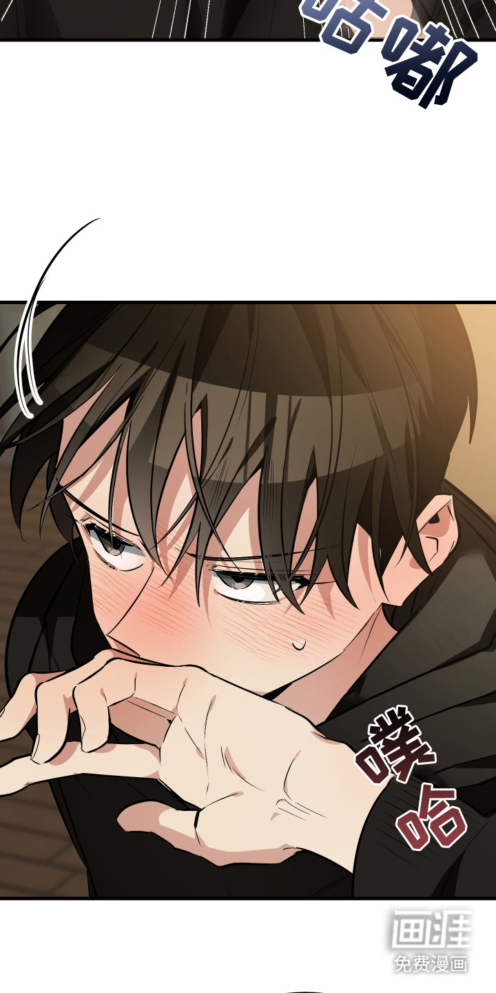 野猫的命定人类第4话图