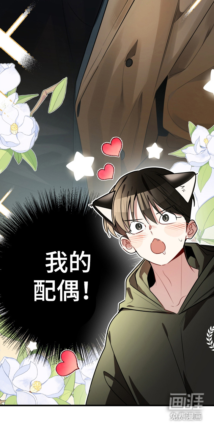 野猫的命定人类 第5话 第12页