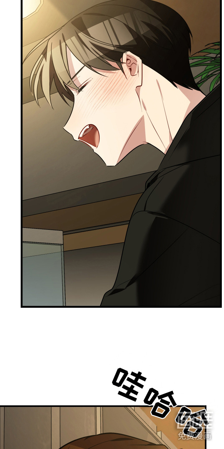 野猫的命定人类第6话图