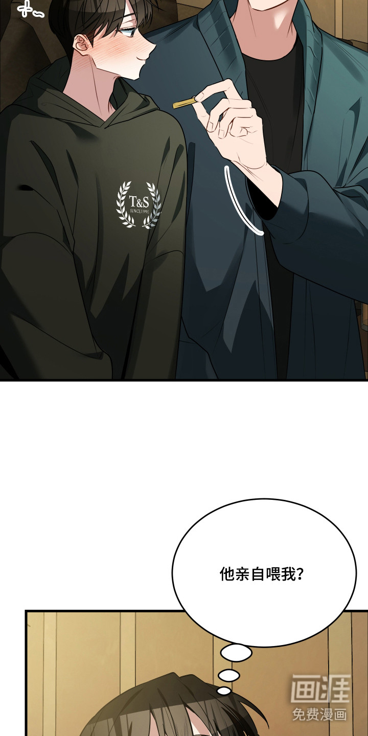 野猫的命定人类第6话图