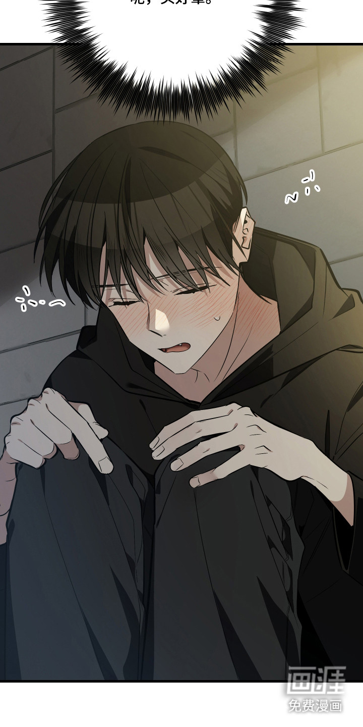 野猫的命定人类 第7话 第10页