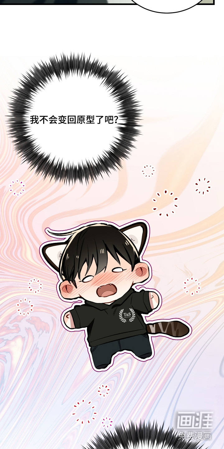 野猫的命定人类 第7话 第13页