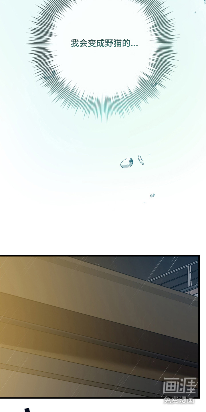 野猫的命定人类 第7话 第17页