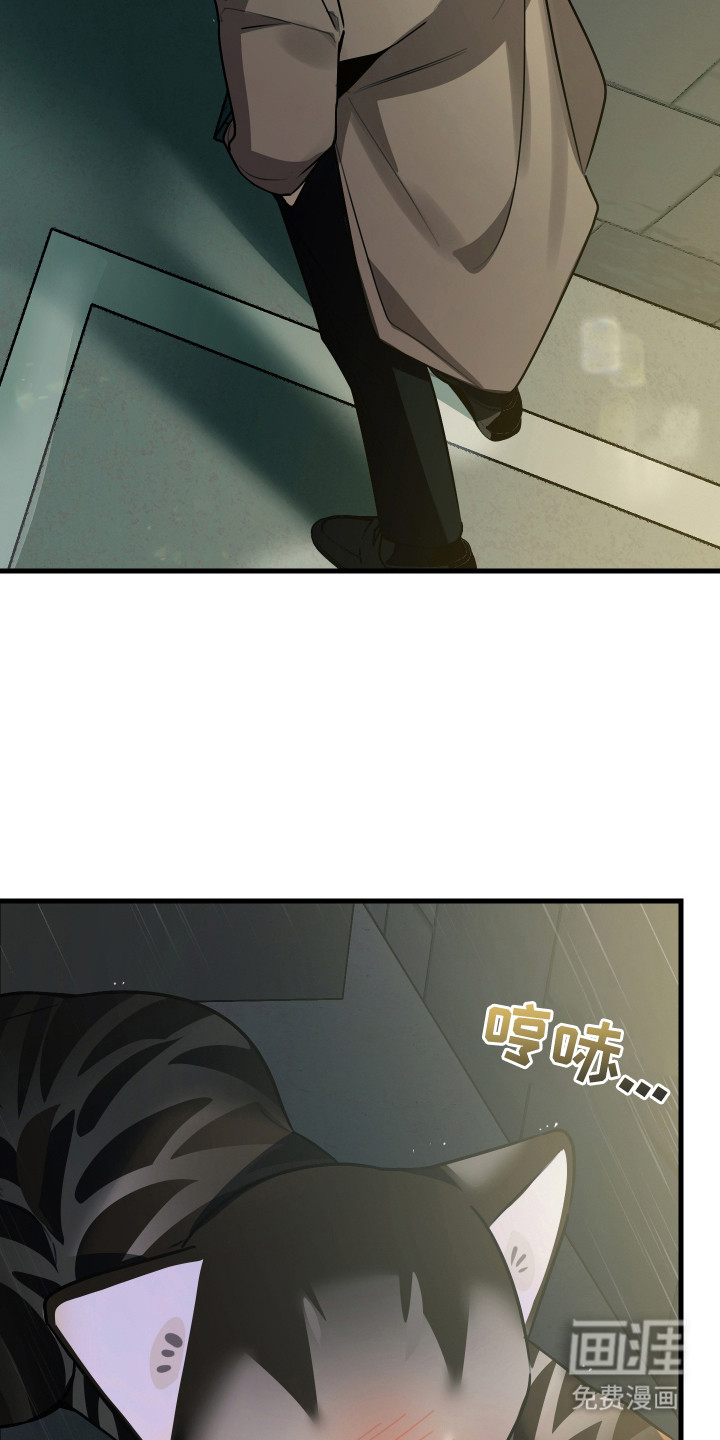 野猫的命定人类 第8话 第1页