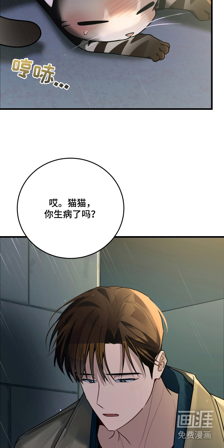 野猫的命定人类 第8话 第2页