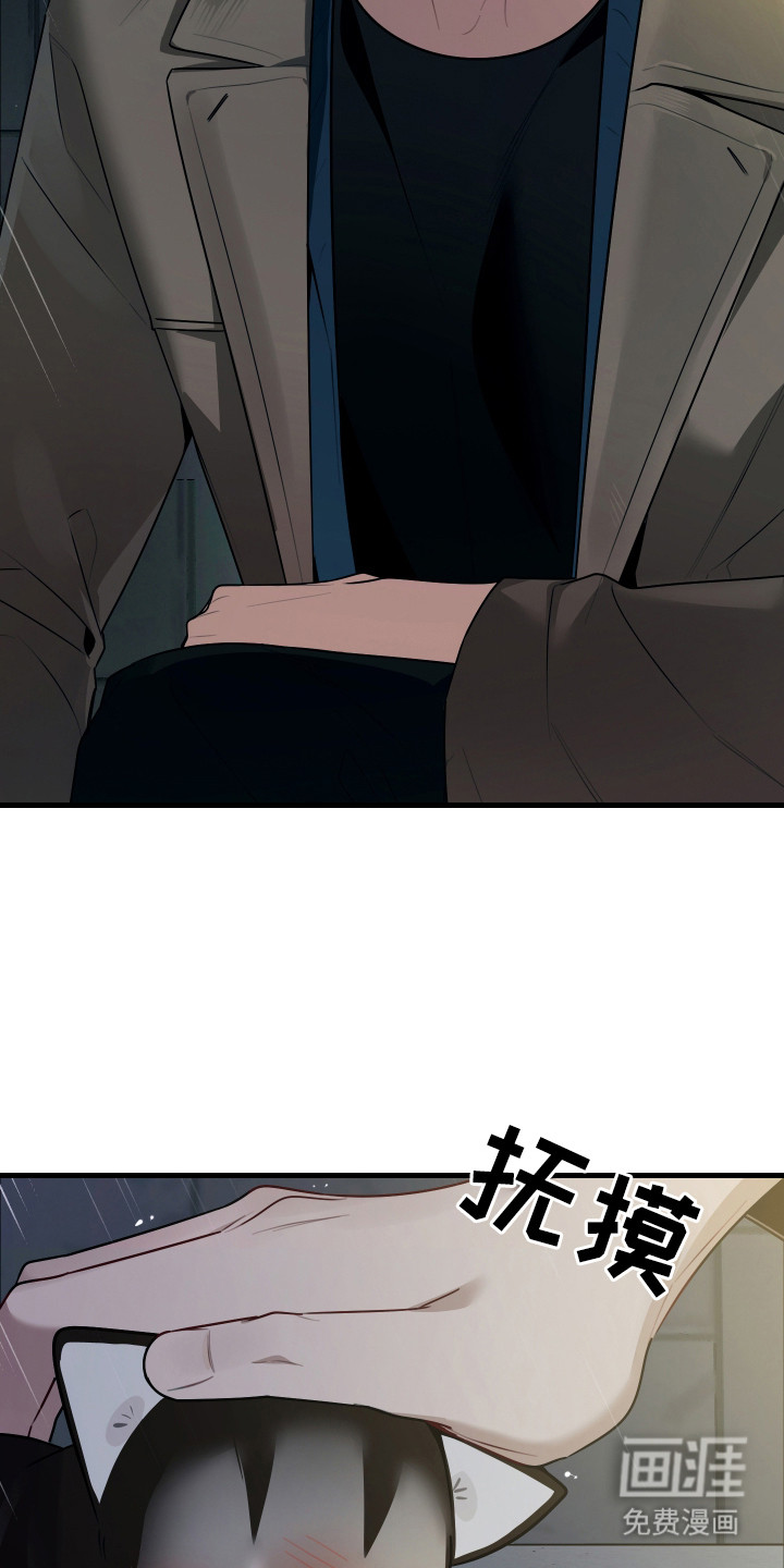 野猫的命定人类 第8话 第3页