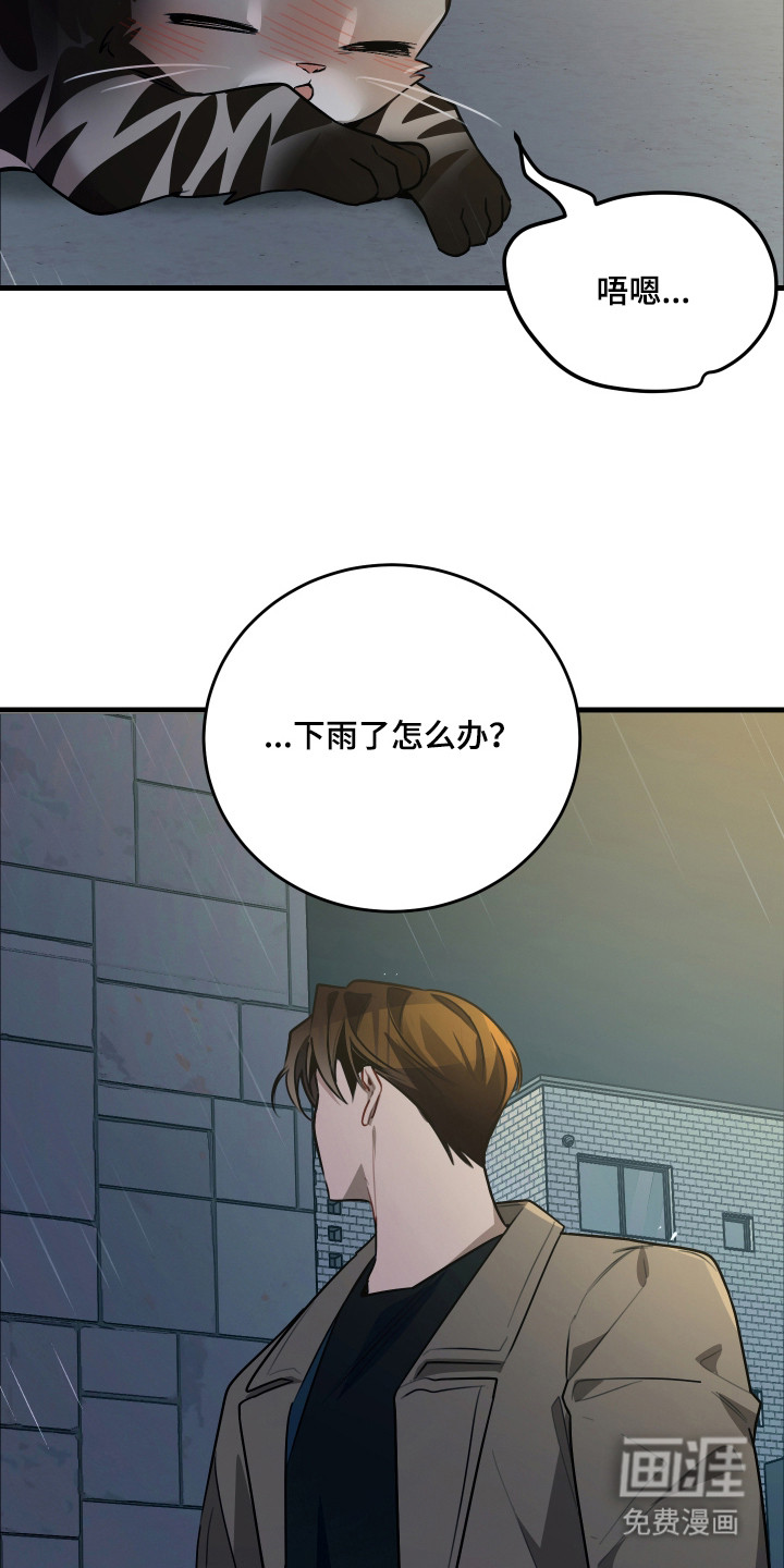 野猫的命定人类 第8话 第4页