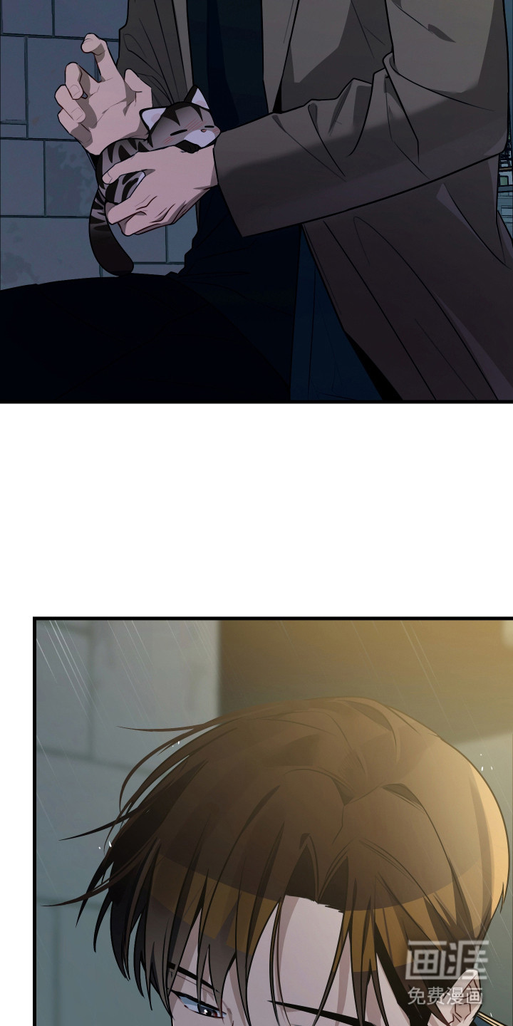 野猫的命定人类 第8话 第5页