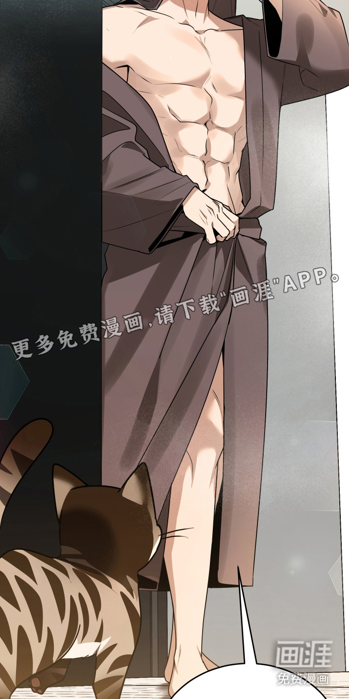 野猫的命定人类 第8话 第8页