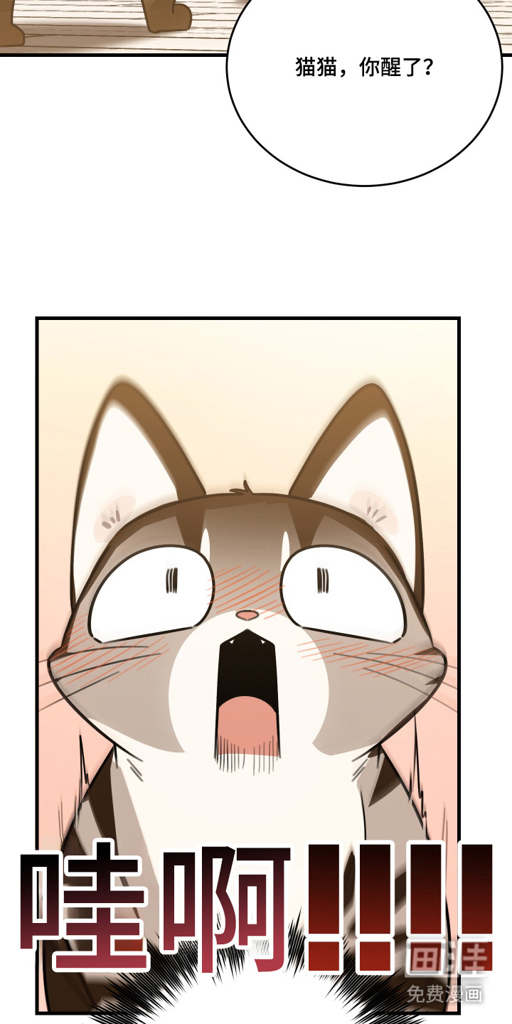 野猫的命定人类 第8话 第9页