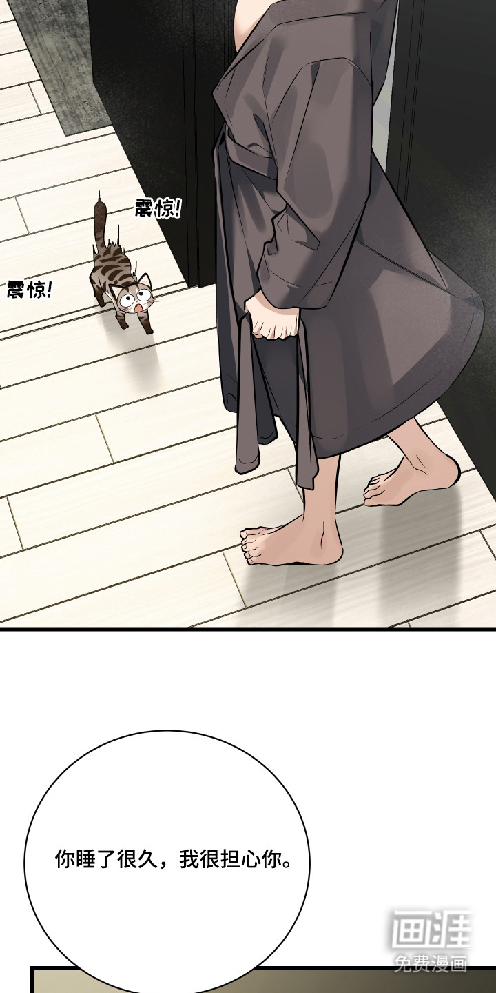 野猫的命定人类 第8话 第11页