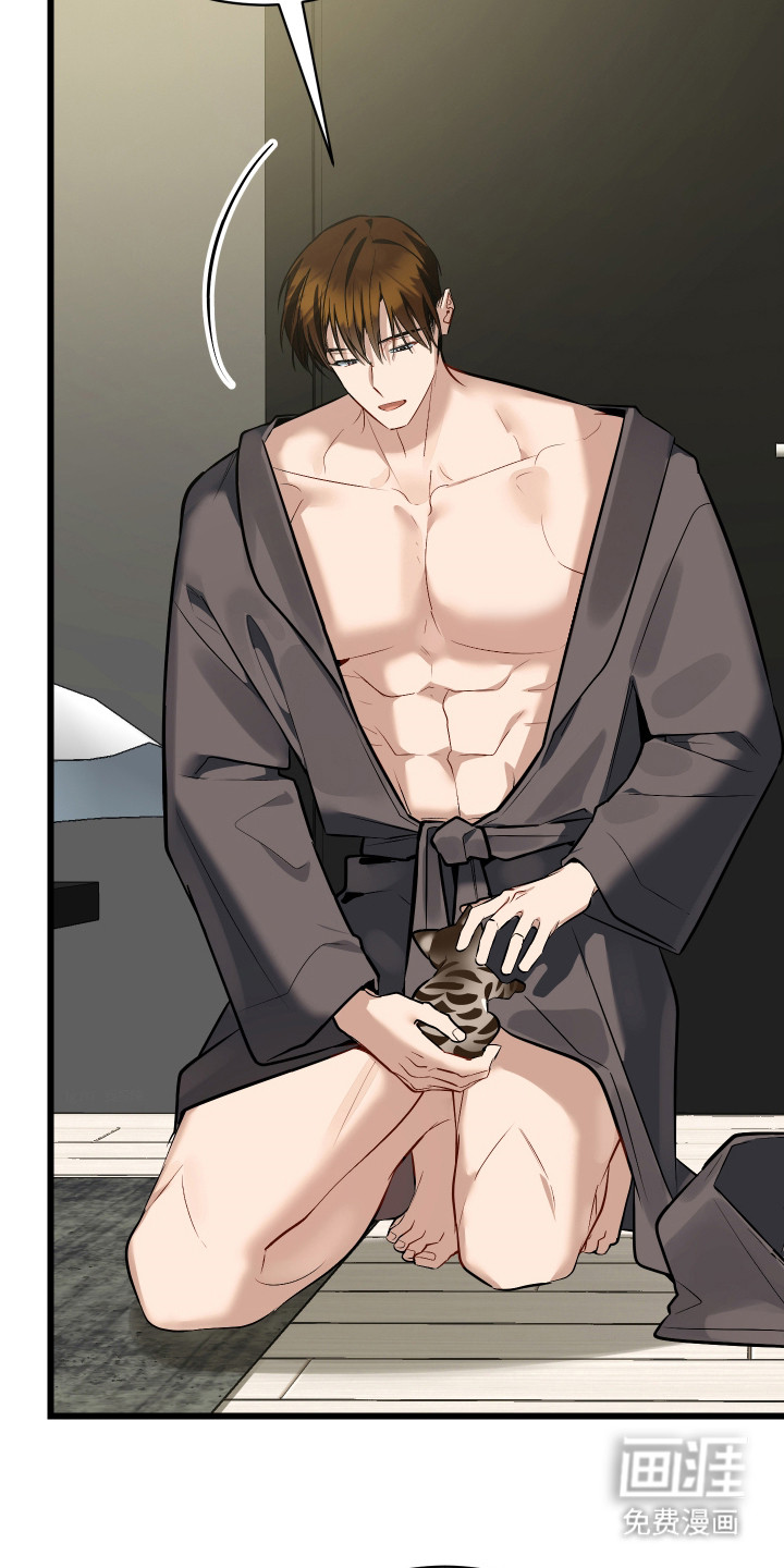 野猫的命定人类 第8话 第12页