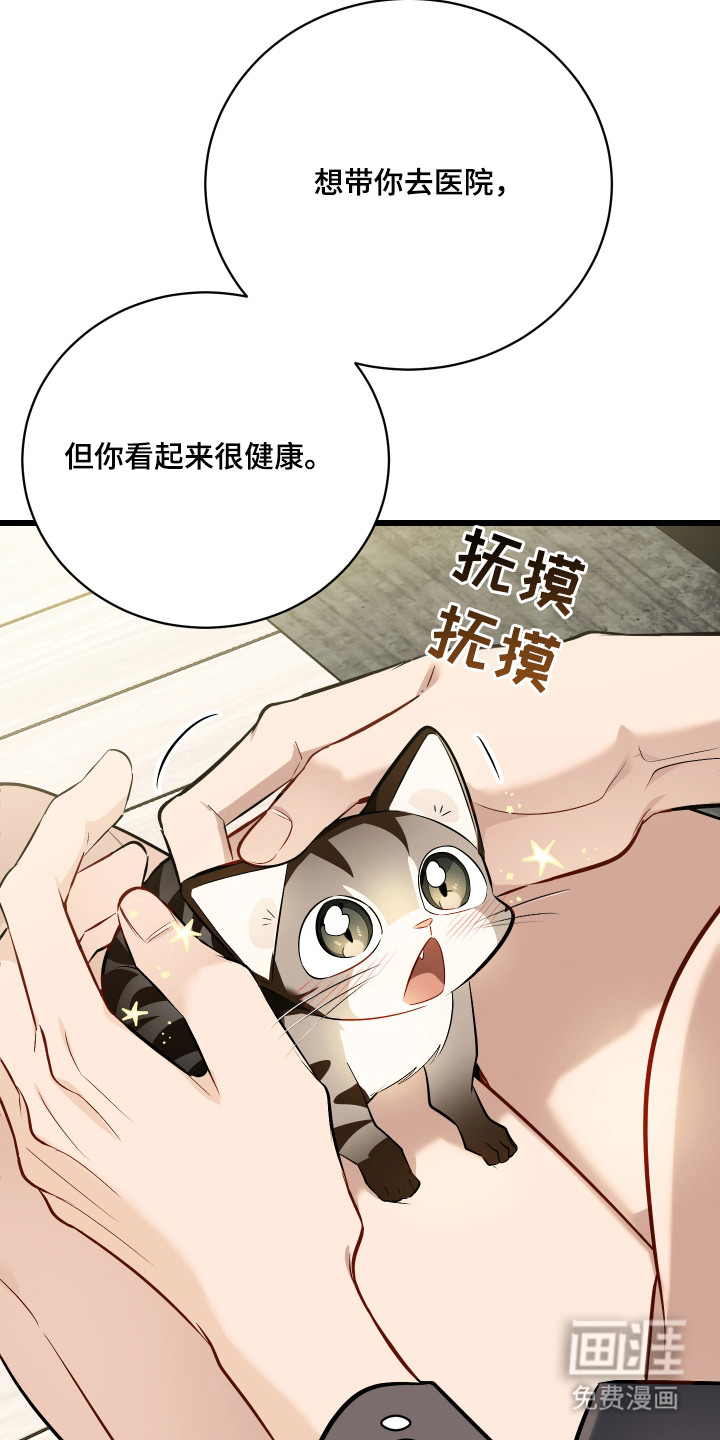 野猫的命定人类 第8话 第13页