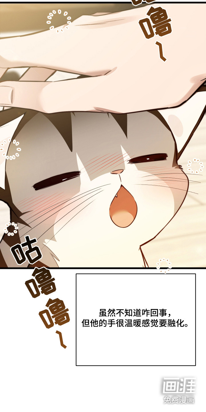 野猫的命定人类 第8话 第16页