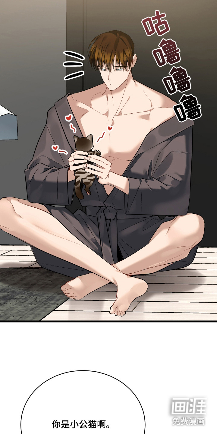 野猫的命定人类 第8话 第19页