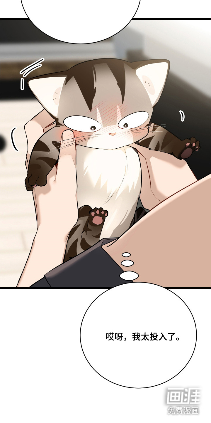 野猫的命定人类 第8话 第20页