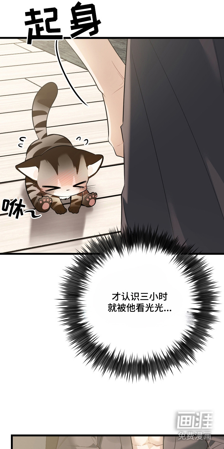 野猫的命定人类 第8话 第21页
