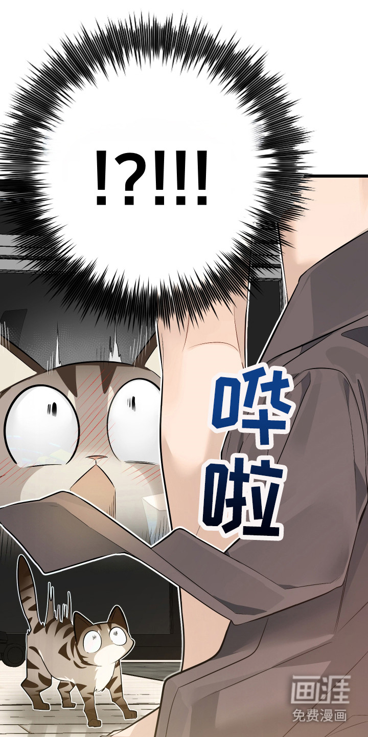 野猫的命定人类 第8话 第23页