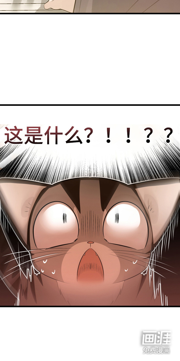 野猫的命定人类 第8话 第24页