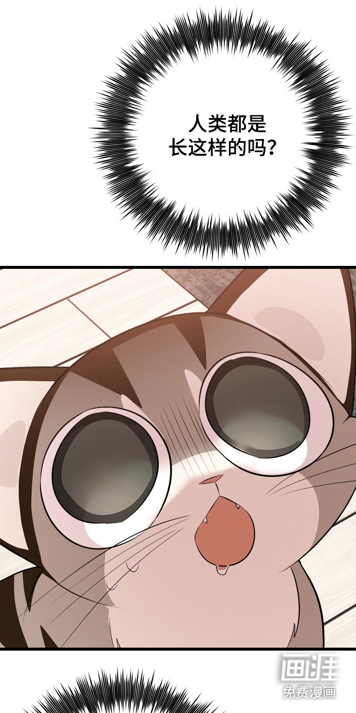 野猫的命定人类 第8话 第25页
