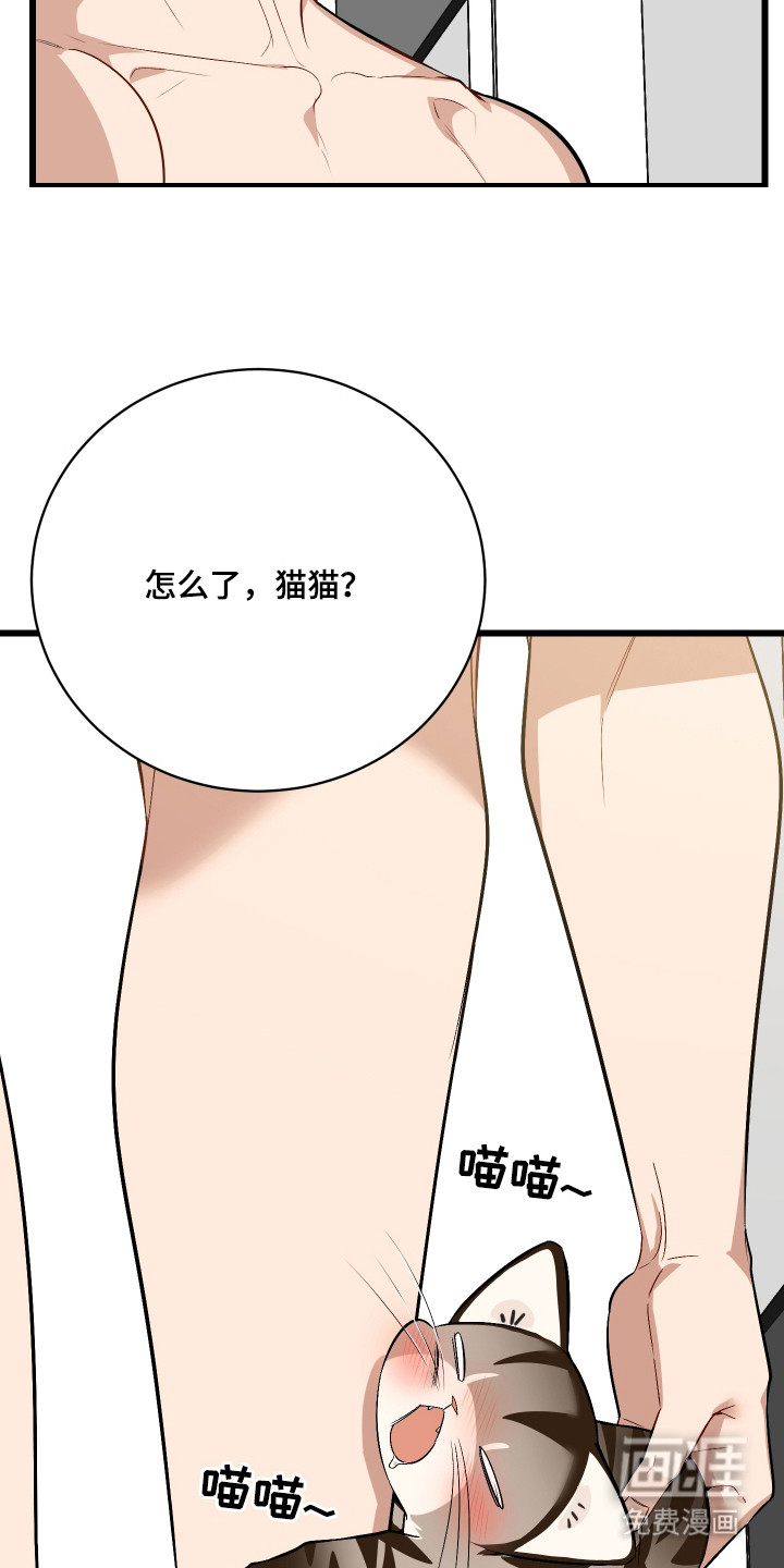 野猫的命定人类 第8话 第27页