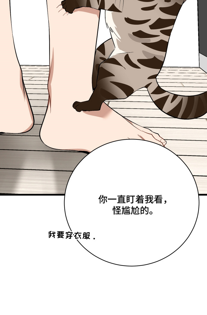 野猫的命定人类 第8话 第28页