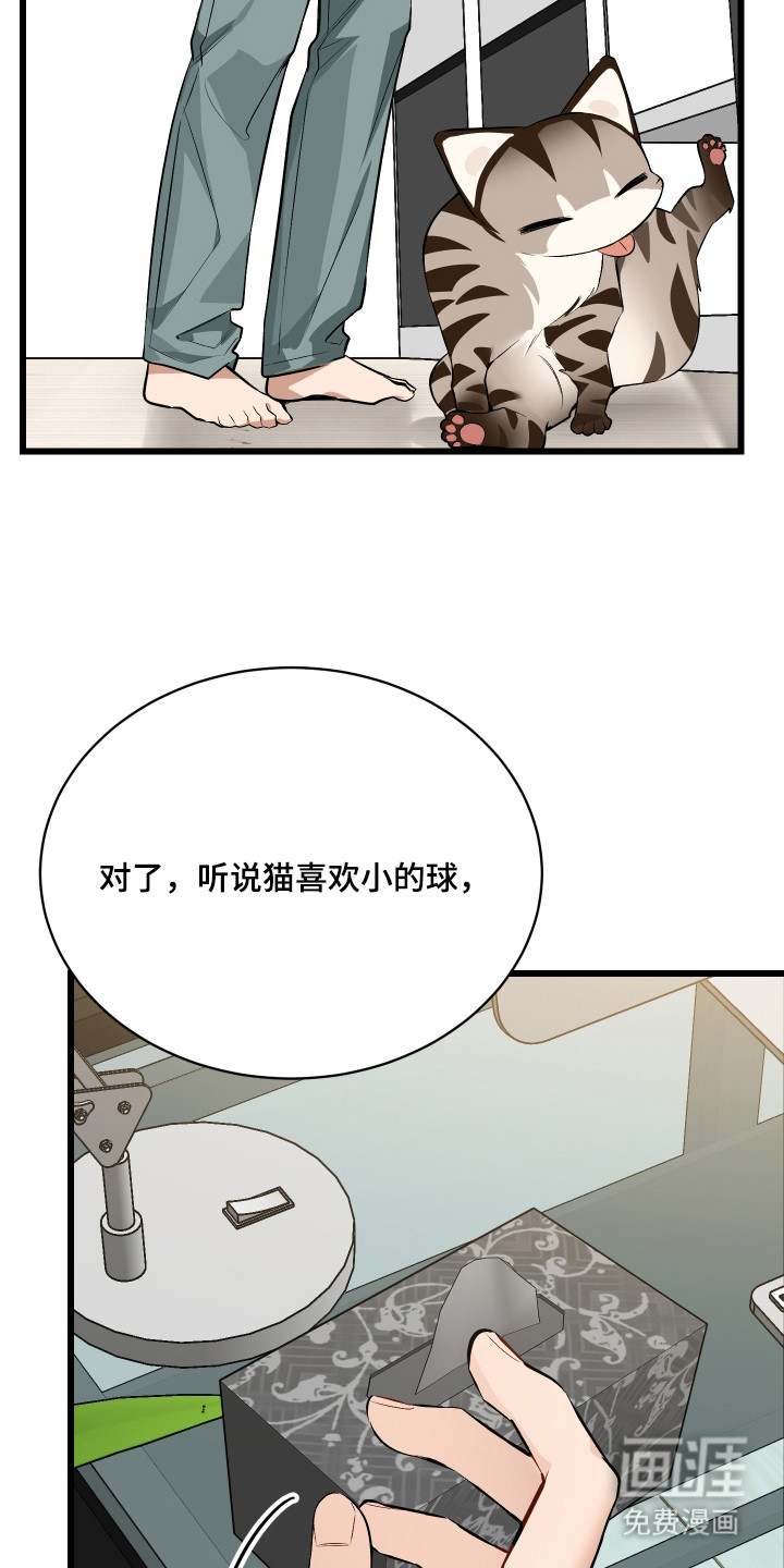 野猫的命定人类 第9话 第1页