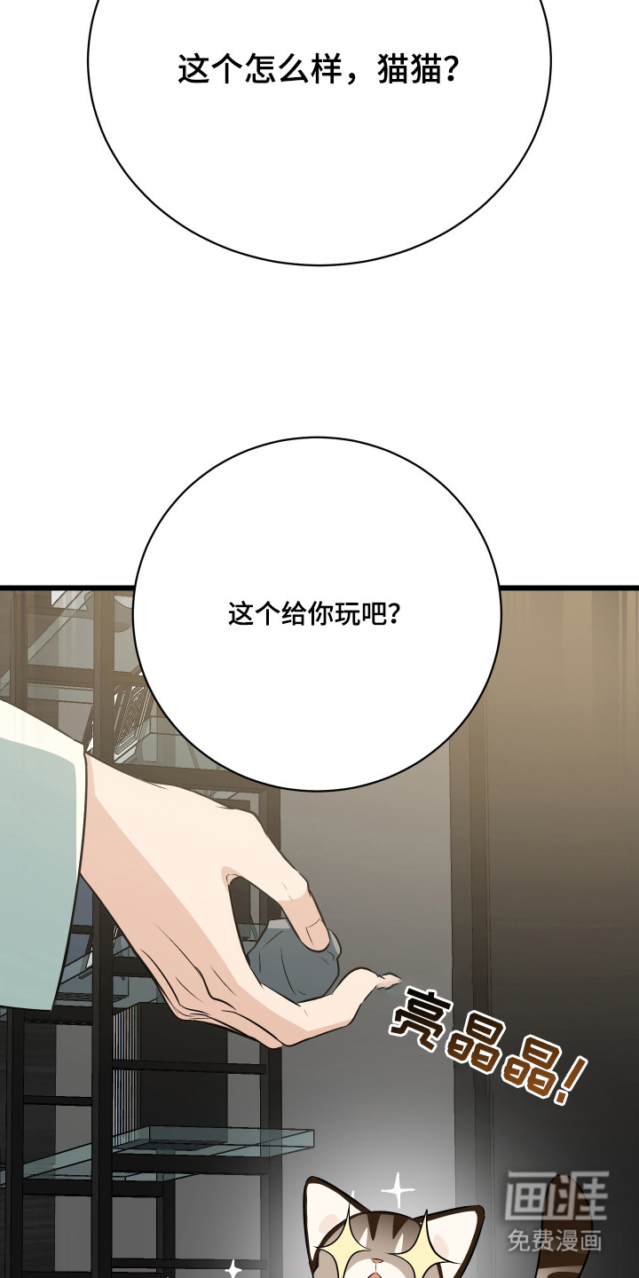 野猫的命定人类 第9话 第4页