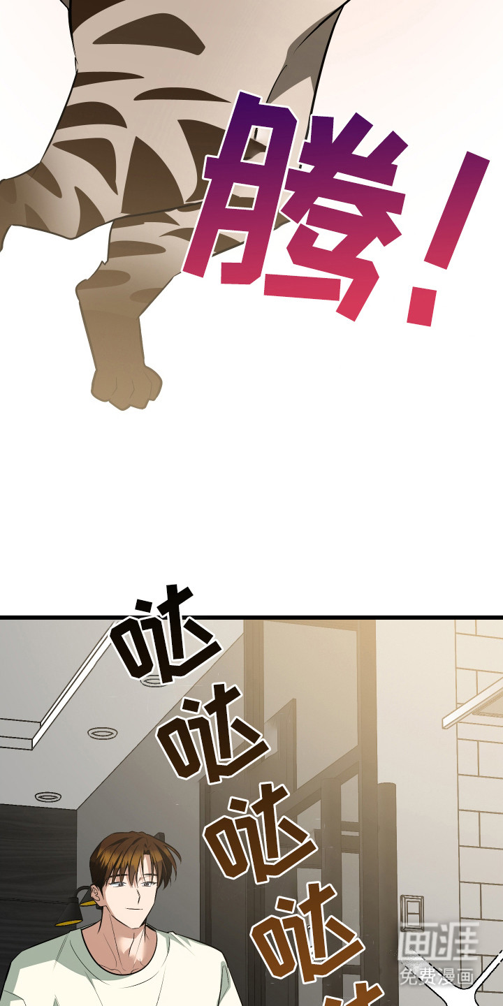 野猫的命定人类 第9话 第7页