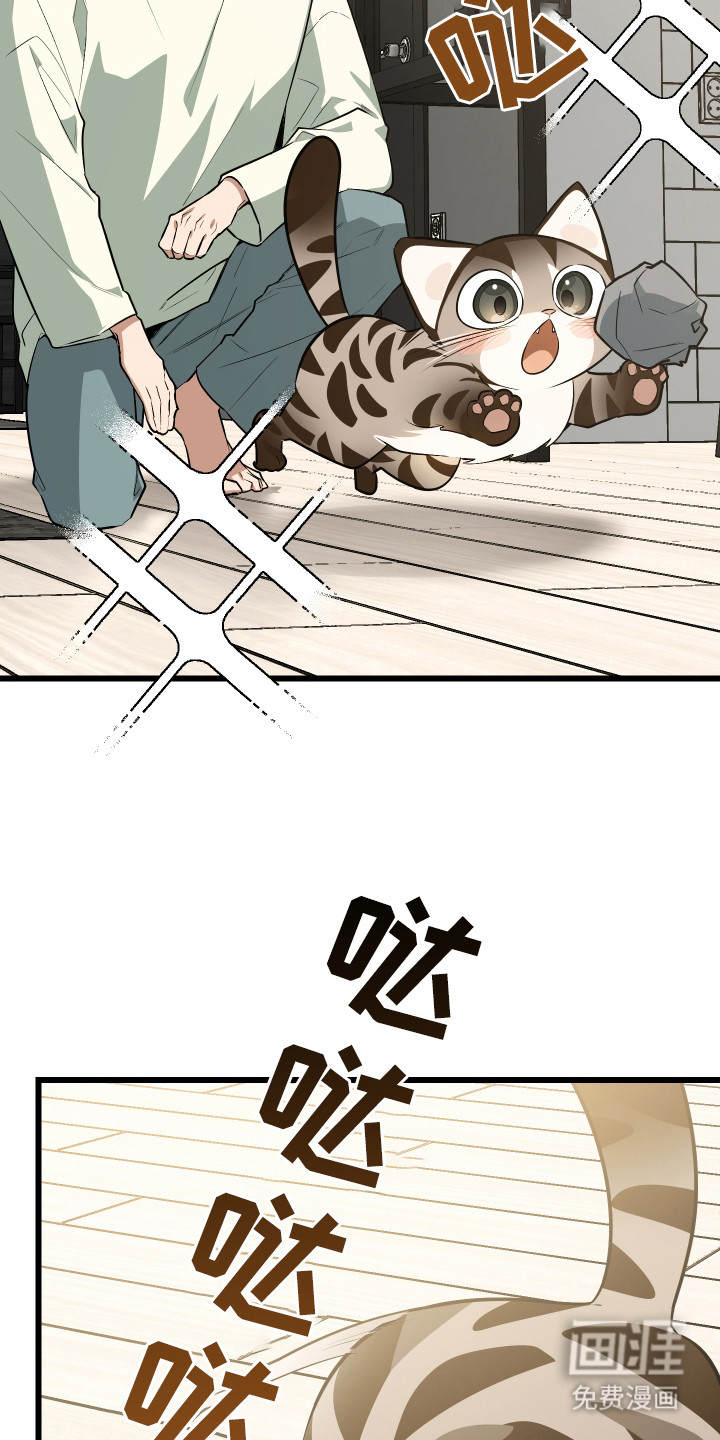 野猫的命定人类 第9话 第8页