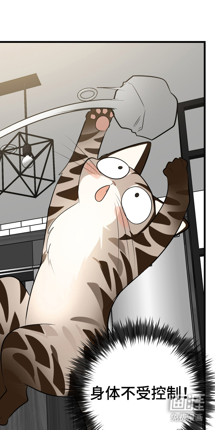 野猫的命定人类 第9话 第10页