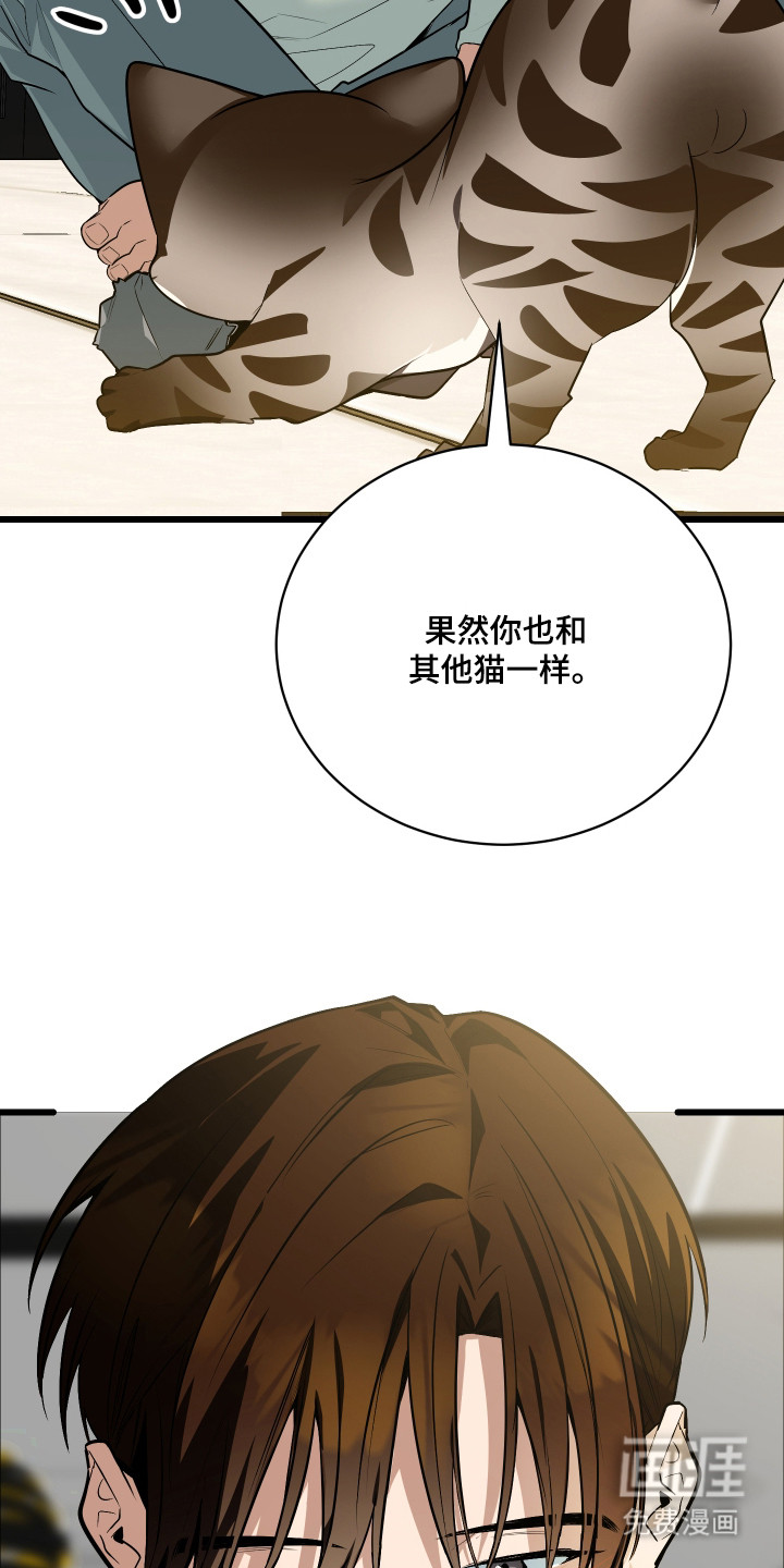 野猫的命定人类 第9话 第14页