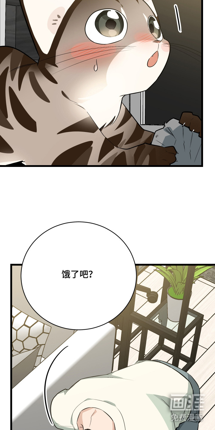 野猫的命定人类 第9话 第16页