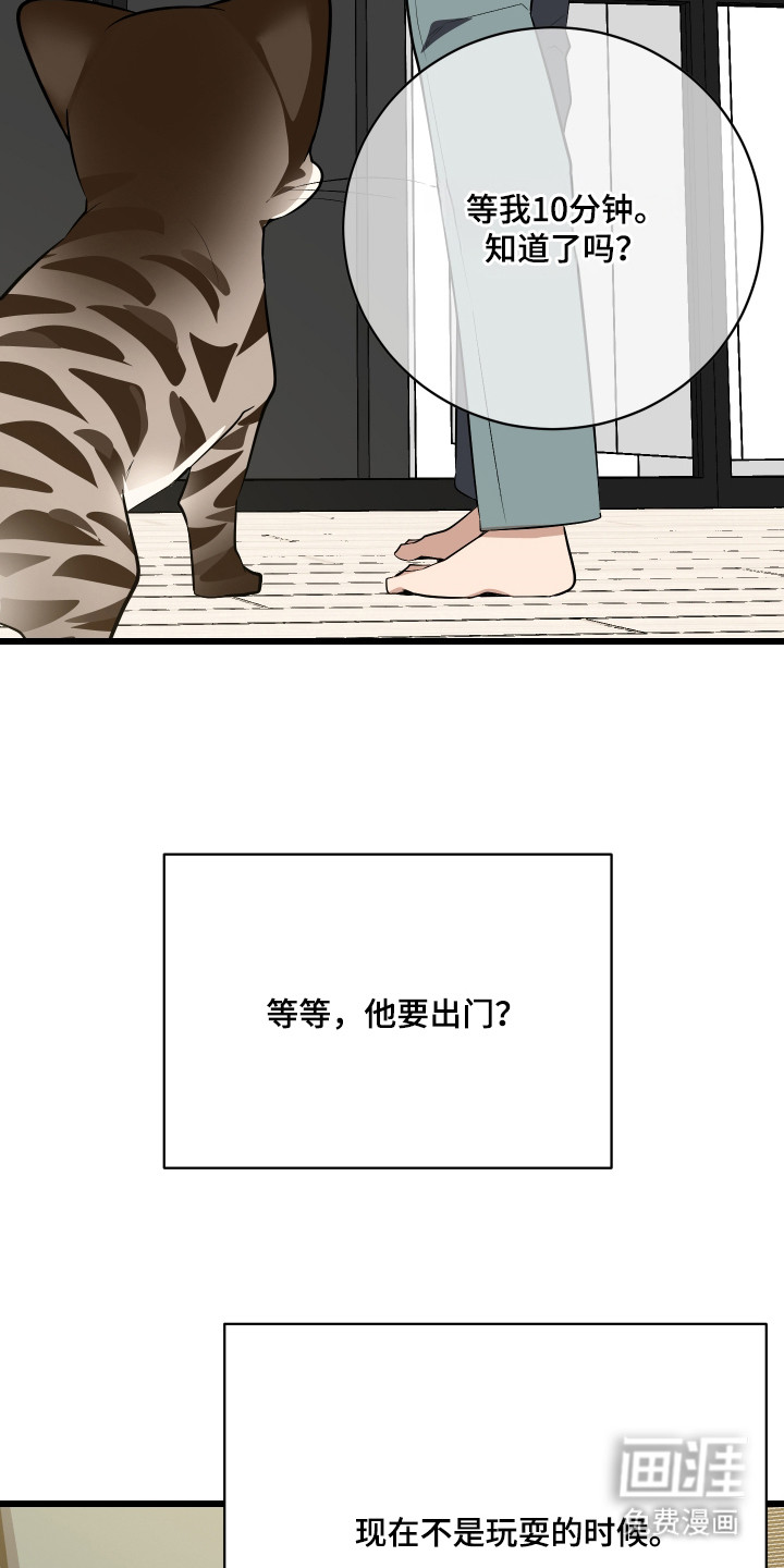 野猫的命定人类 第9话 第19页