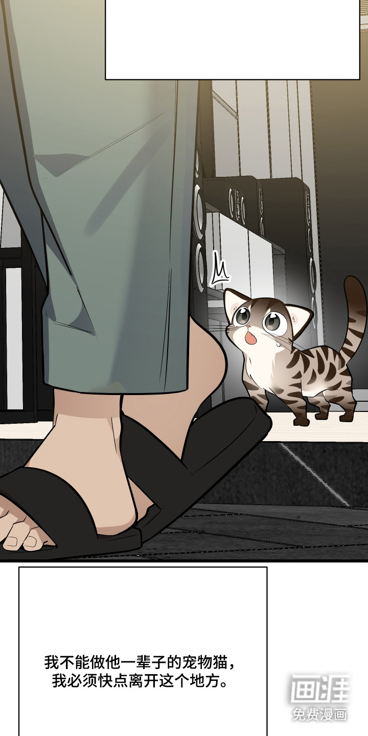 野猫的命定人类 第9话 第20页