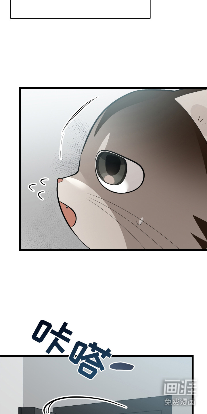 野猫的命定人类 第9话 第21页